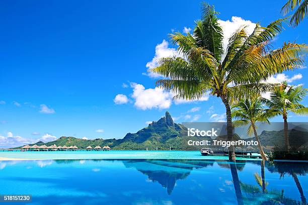 Bora Bora Infinity Pool Stock Photo - Download Image Now - Beach, Tropical Climate, Vacations