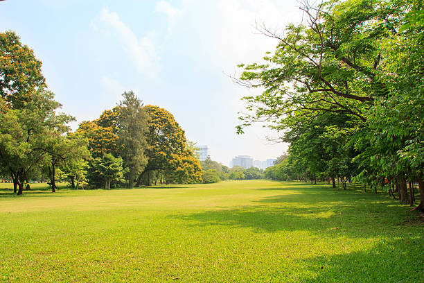 シティの公園 - distant field meadow landscape ストックフォトと画像