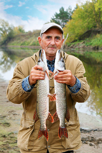 istock old fisherman and his catch - two pikes 518152737