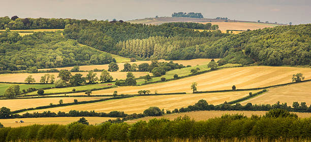 istock English countryside 518169569