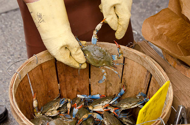 istock Crab at the market 518171423
