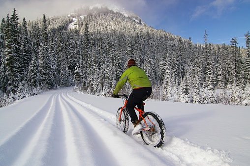 A cyclist riding a fat bike in fresh snow.