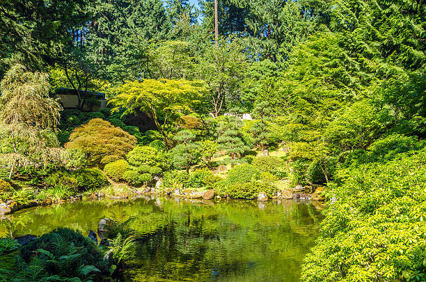 istock Lush Garden and Pond 518172321