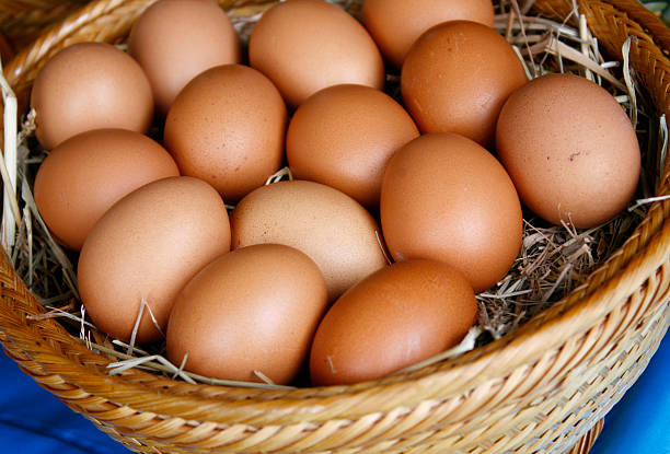 istock Brown eggs in wooden basket hay nest 518172501