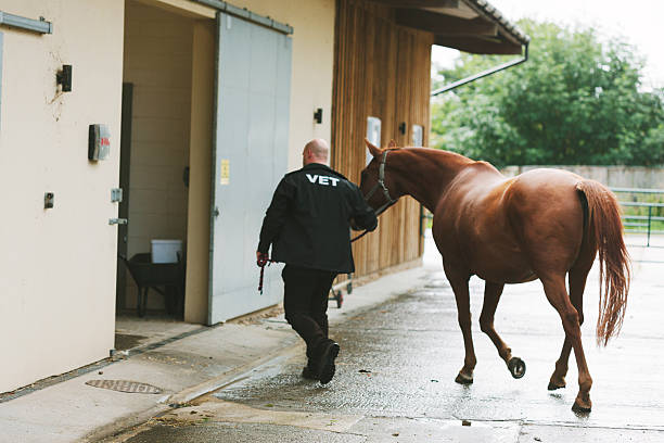 Large animal Veterinary Hospital