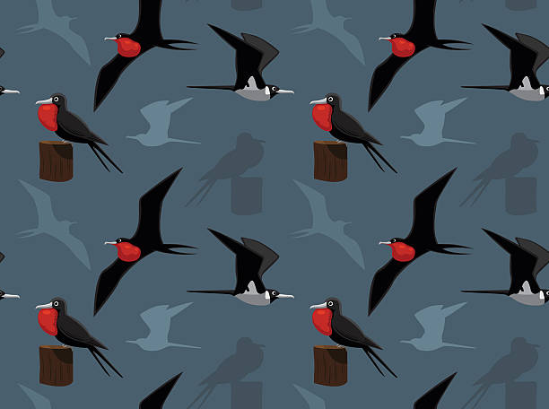 Bird Frigatebird Wallpaper Animal Wallpaper EPS10 File Format fregata minor stock illustrations