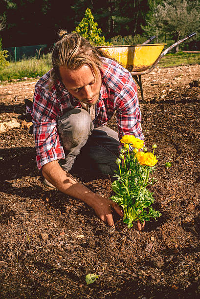 istock Young Farmer planting a flower on his field 518174874