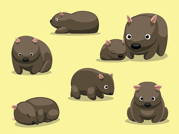 wombat posen comic vektor-illustration - wombat stock-grafiken, -clipart, -cartoons und -symbole