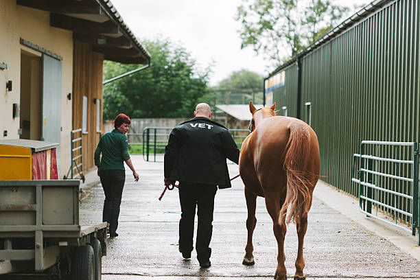 istock Equine Veterinary Hospital 518175345