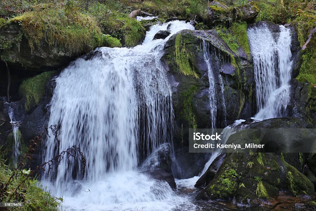 Waterfall in motion - German Black Forest This picture was taken in German town Triberg - this town in the Black Forest is famous because of its beautiful and high waterfalls. Beauty In Nature Stock Photo