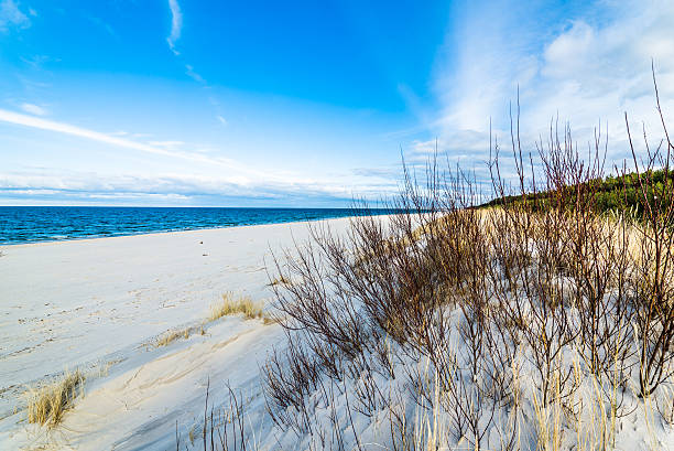 istock Beautiful sea landscape, sandy beach and sand dune with grass 518178606