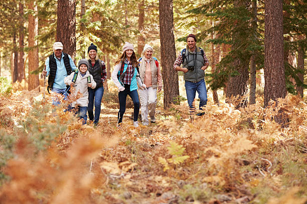 istock Multi generation family hiking in a forest, foreground space 518184646