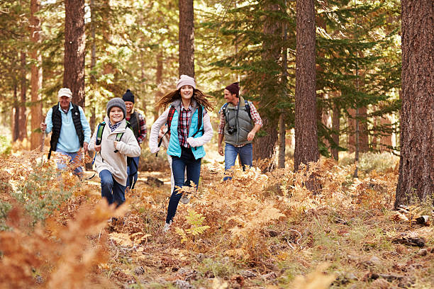 istock Multi generation family hiking in a forest, kids running 518184674
