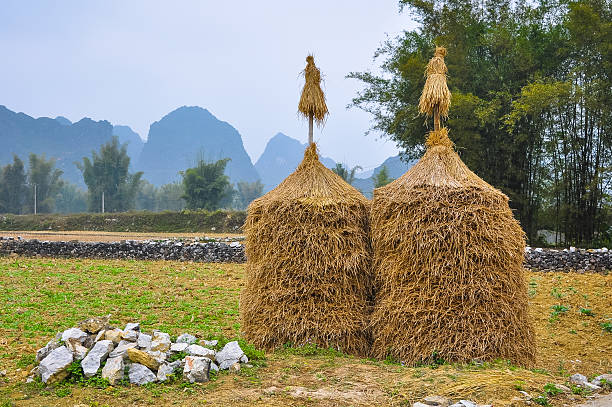 istock Two haystacks in the background of mountains and bamboo 518184718