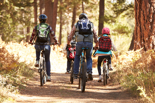 Family mountain biking on forest trail, back view