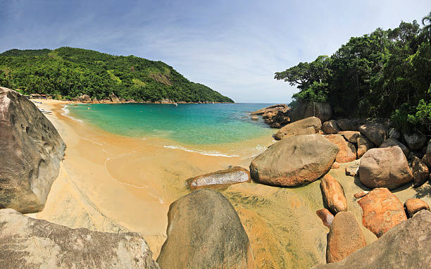 istock beautiful tropical beach with green water 518185898