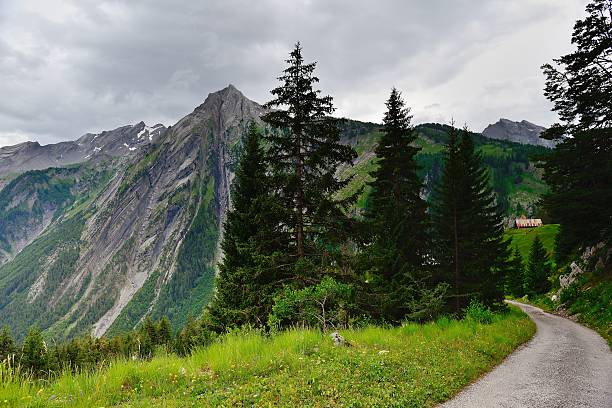 istock Rural scenery in Sion 518197411