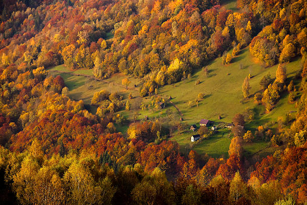 istock Beautiful Carpathian mountains in autumn 518197522