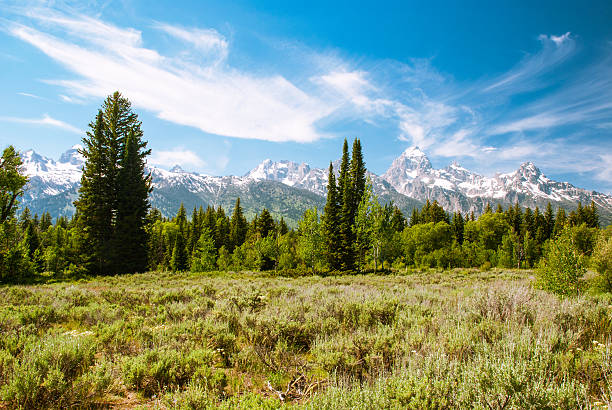 istock Teton Range, Wyoming, USA 518197564