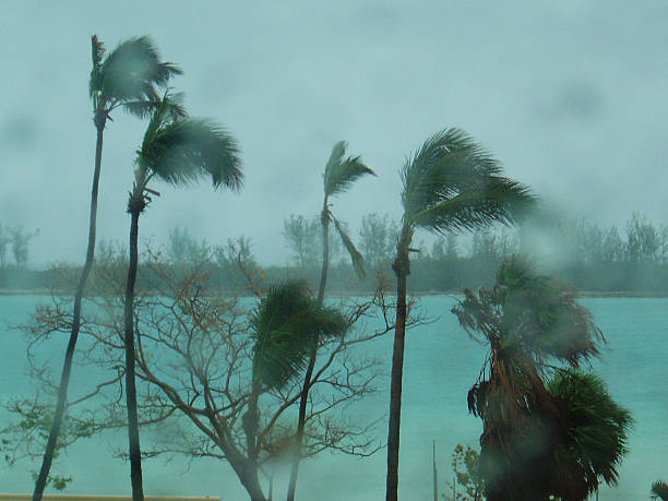 istock Hurricane windswept scene thru raindrop bokeh 518198902