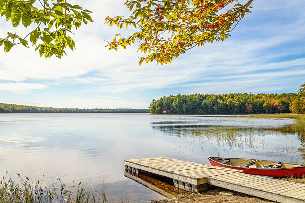istock Kejimkujik lake in fall from Jeremy Bay Campground 518200081