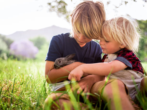 Brothers holding and feeding a cute bunny at park