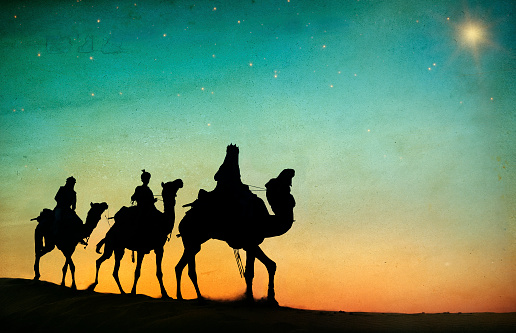 Group of People Riding Camel Isolated on Background
