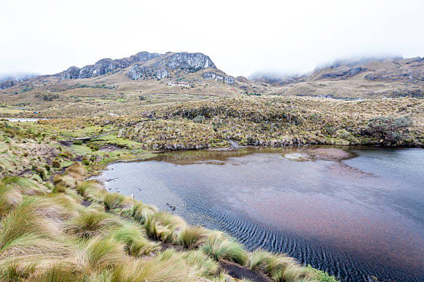 istock Landscape in Cajas National Park, Cuenca, Ecuador,Rainy day 518200614