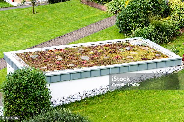 Dachgarten Grünes Dach Stockfoto und mehr Bilder von Dachgarten - Dachgarten, Umweltschutz, Dach