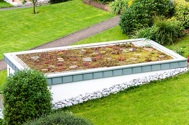 Roof garden, green roof stock photo