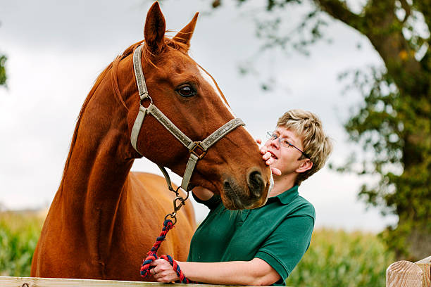 Female horse handler stock photo