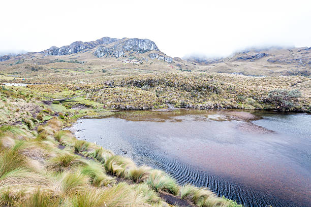 istock Landscape in Cajas National Park, Cuenca, Ecuador,Rainy day 518201020