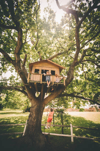 Children sitting in a treehouse with one friend climbing up Wide angle shot of a rustic wooden treehouse in the branches of a huge tree with sunlight pouring through the lush green leaves on the branches, and a grassy park below, with two children sitting on the porch of the treehouse and another friend climbing up the rope ladder girl climbing ladder stock pictures, royalty-free photos & images
