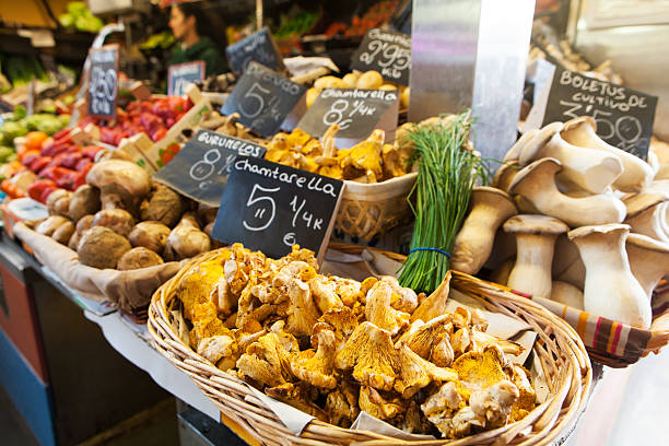 istock Chantarellus cibaris mushroom. 518205590