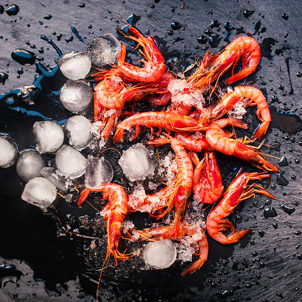 istock Raw shrimps / fresh seafood with ice over black 518207440