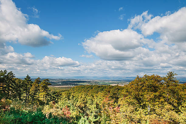 vue sur monts des appalaches en automne - appalachian trail dirt road footpath appalachian mountains photos et images de collection