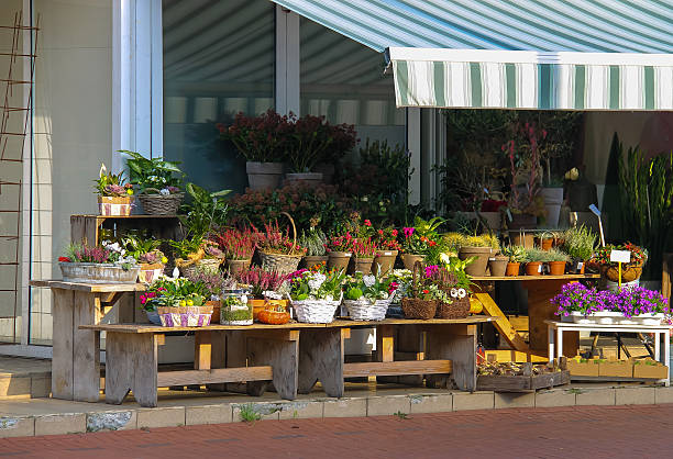 istock Baskets and pots with plants on the wooden benches 518208862