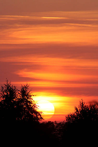 rouge coucher de soleil - sunspot photos et images de collection