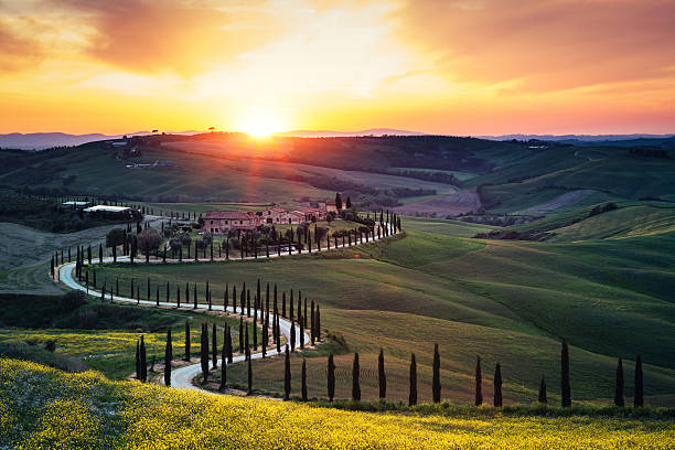 Tuscany Landscape At Sunset Tuscany landscape with winding country road at sunset (Val D'orcia, Italy). farmhouse photos stock pictures, royalty-free photos & images