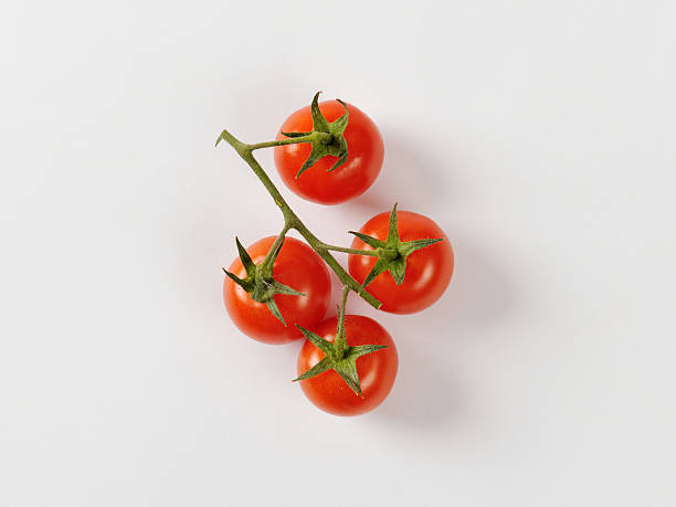 cherry tomatoes on vine Four cherry tomatoes on vine cherry tomato stock pictures, royalty-free photos & images