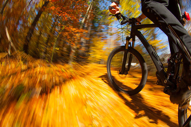 istock Mountain biking through the woods on a summer day 518223422