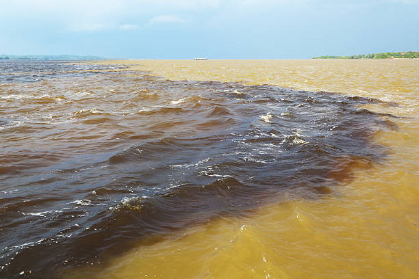 istock Amazon & Rio Negro waters not mixing, Brazil 518223711