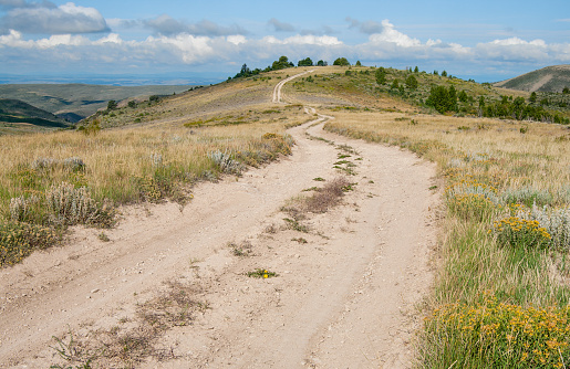 A truck trail leads into the hills of southwest Wyoming.