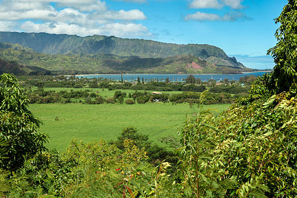 hanalei punkt widokowy - kauai tropical climate green travel destinations zdjęcia i obrazy z banku zdjęć