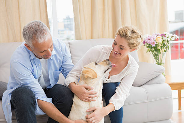 istock Happy couple with their pet dog 518224849