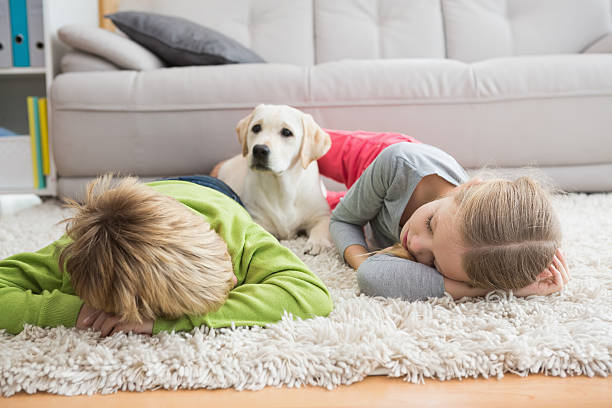 istock Cute silblings with their puppy on rug 518225223