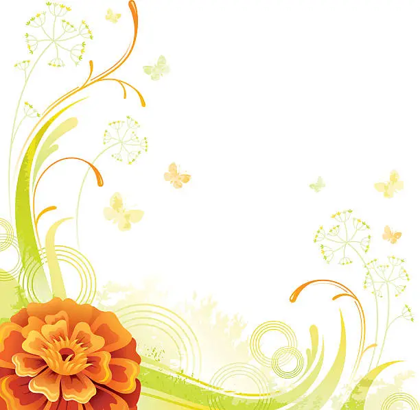 Vector illustration of Square flower background with copyspace: orange Marigold