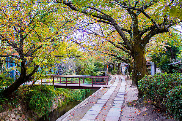 istock Philosopher's Walk in Kyoto, Japan 518226364