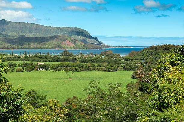 hanalei punkt widokowy - kauai tropical climate green travel destinations zdjęcia i obrazy z banku zdjęć