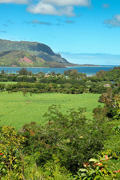 hanalei ponto de observação - kauai tropical climate green travel destinations imagens e fotografias de stock